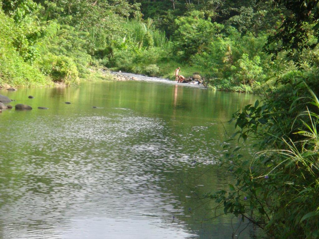 Hibiscus Valley Inn Marigot Oda fotoğraf